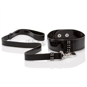 Diamond Leash Collar